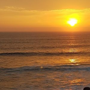 Meet your Posher, Dahlia